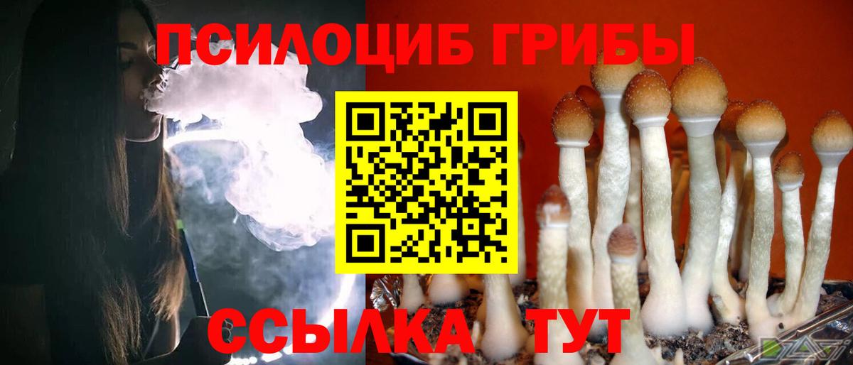 Нижний Тагил  Галлюциногенные грибы Psilocybine cubensis  Вход с VPN  Галлюциногенные грибы MAGIC MUSHROOMS 
