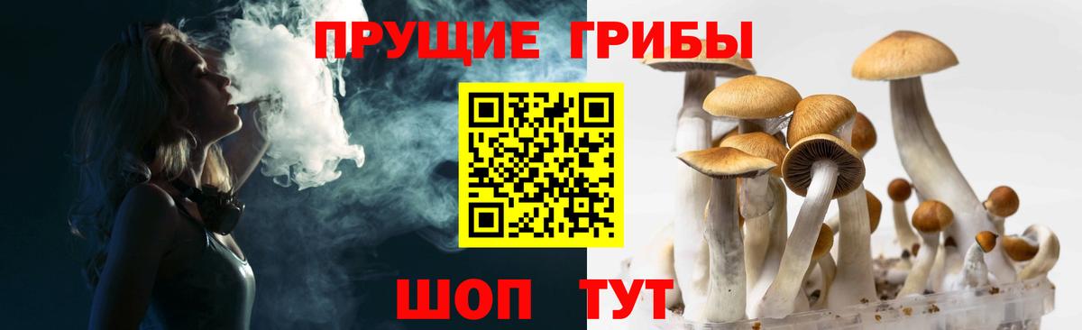 Псилоцибиновые грибы Psilocybine cubensis Нижний Тагил